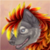 custom by #12538: A Fiery Lion\'s mane for Siberian Husky\'s.